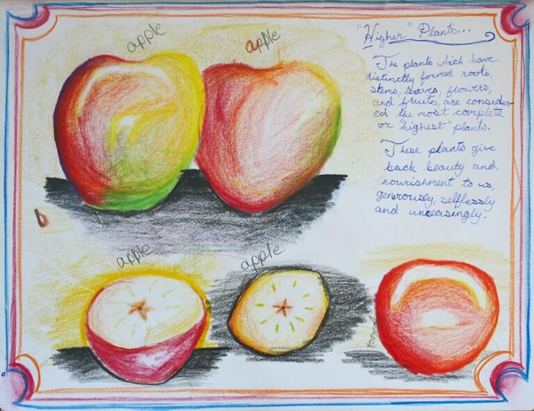 Inspiring and Challenging Students with Single-Subject Lesson Blocks ...