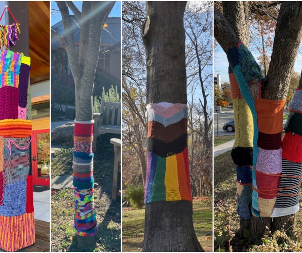 Pictures of "yarn bombed" trees