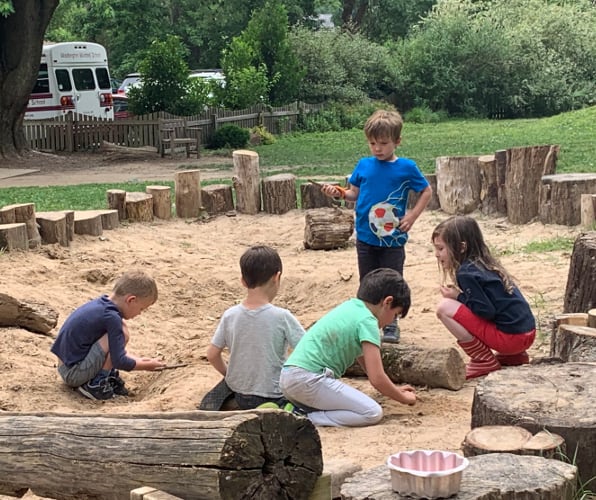 Summer Camps Washington Waldorf School