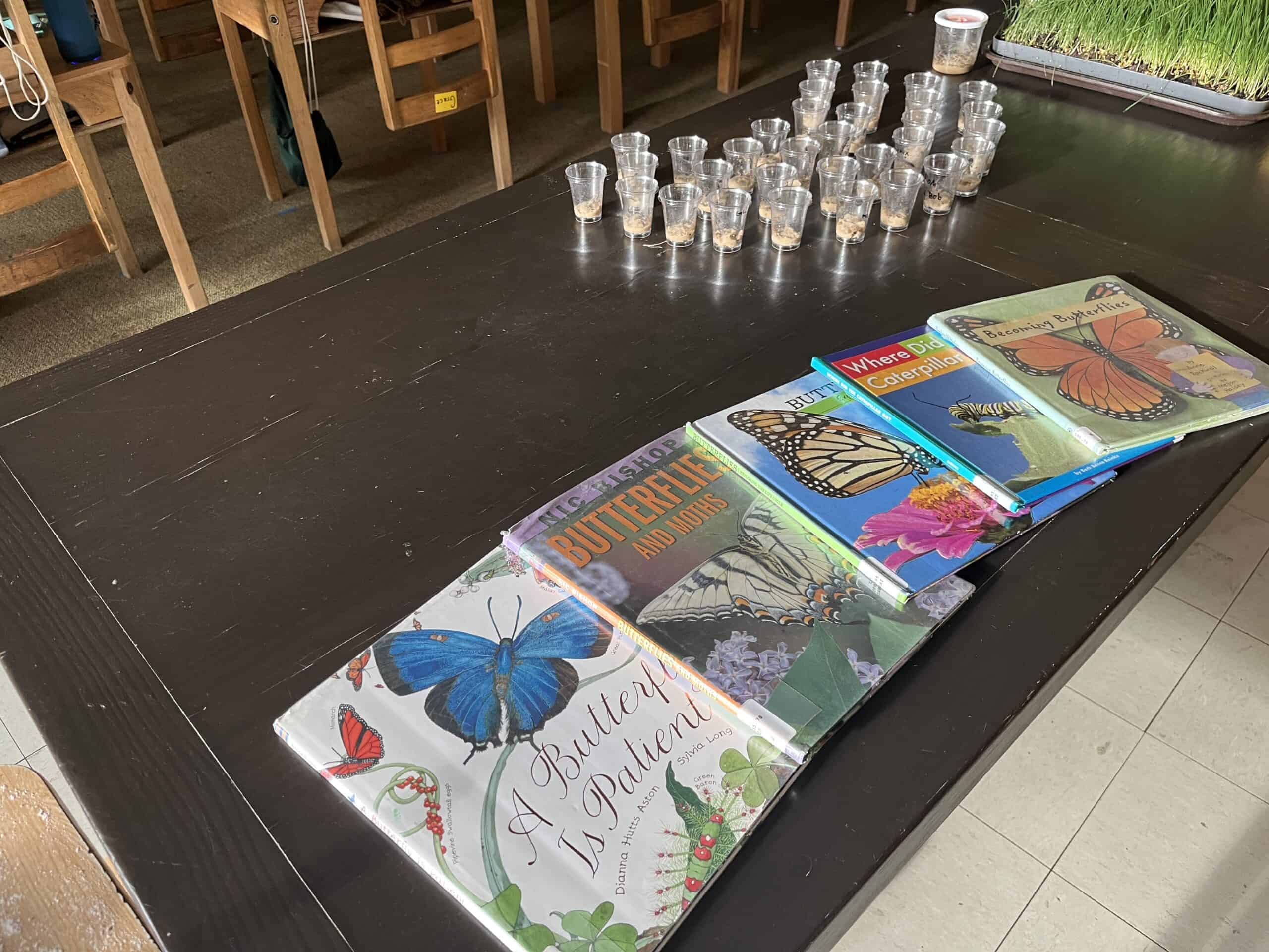g3-butterfly-books-scaled image