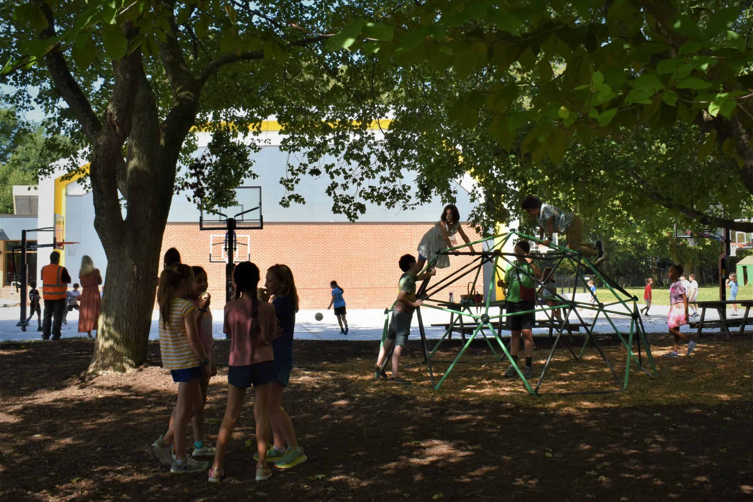 DSC_0014-2-scaled image