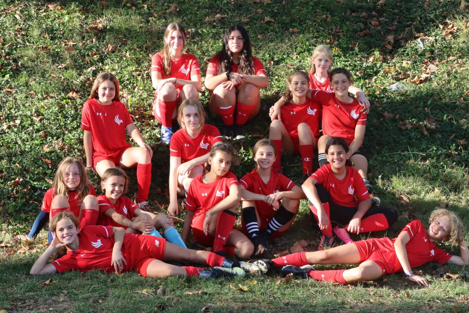 MSG-soccer-2 image