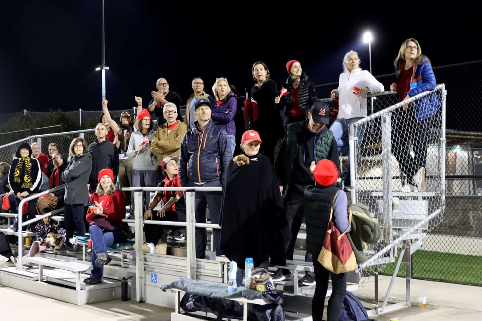 Soccer-Crowd image