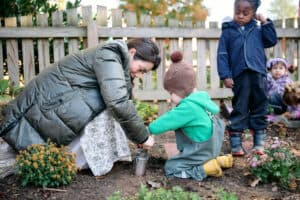 CG Seed Planting