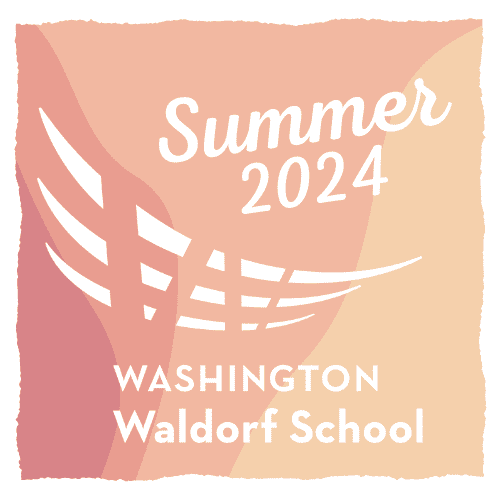 Summer-2024 image