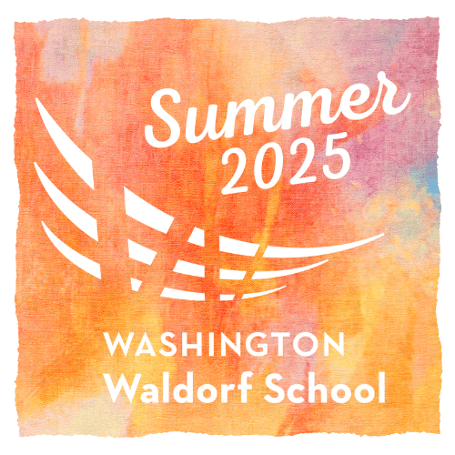 Summer-2025-500-×-500-px image