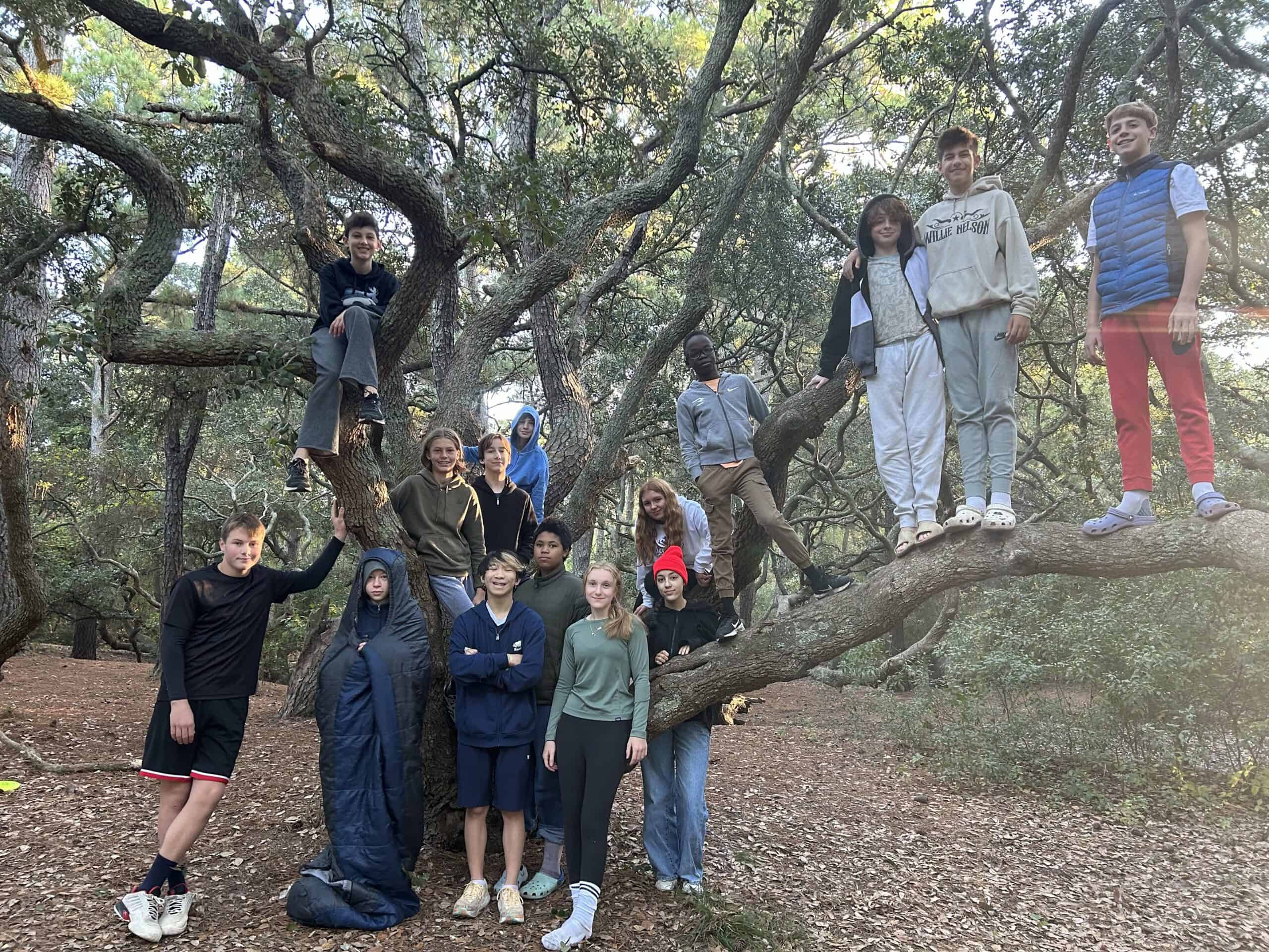 G7-VA-trip-2024-group-tree-scaled image