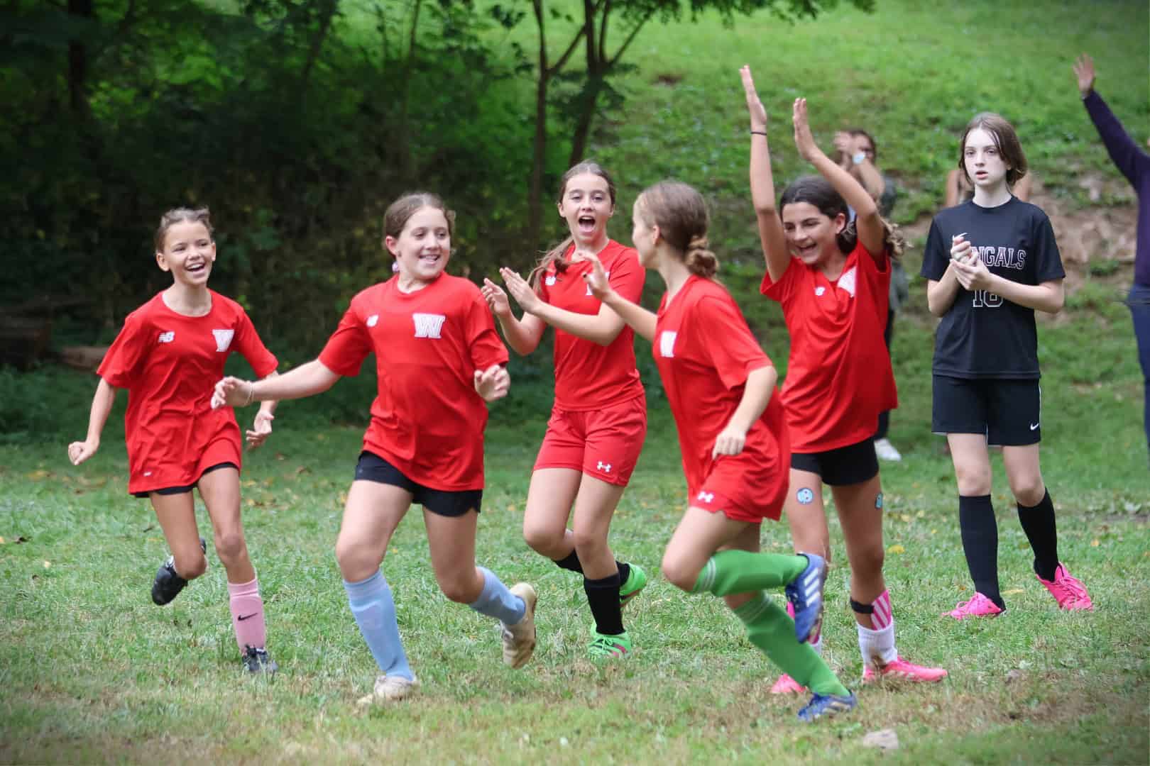 MS-girls-soccer-2024-celebrate-2 image