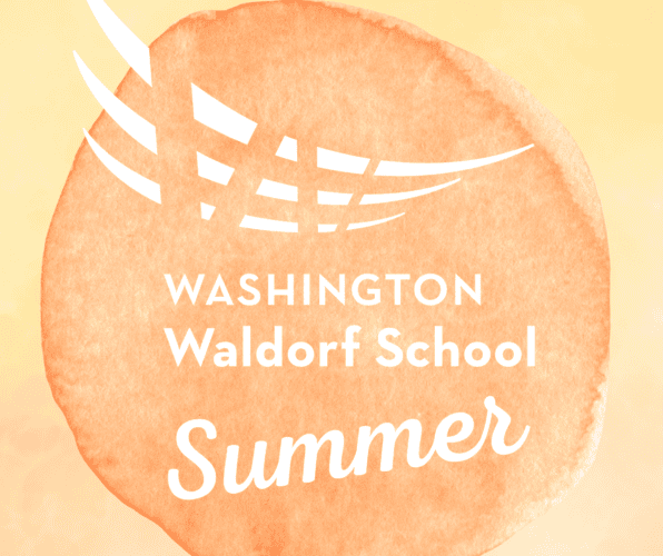 Summer Logo & Placeholder