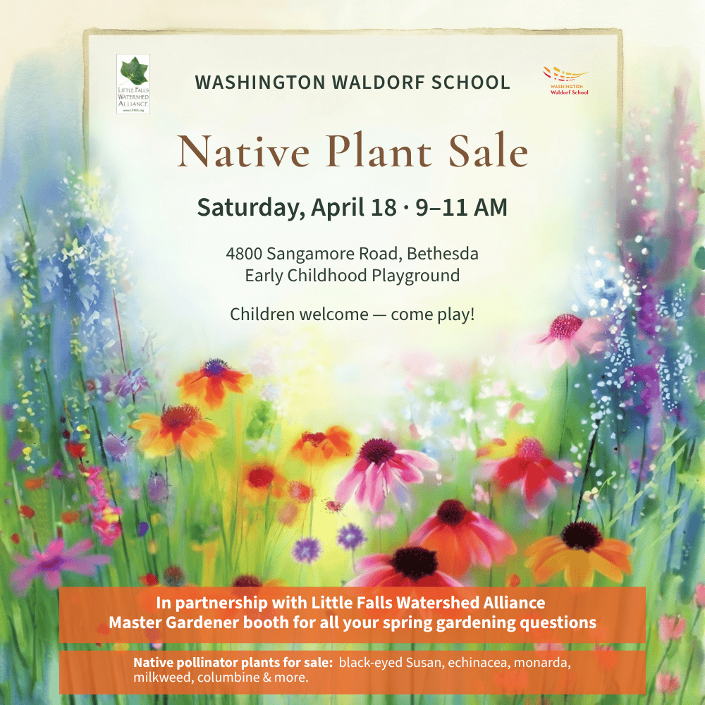2026 Spring Native Plant Sale Sq