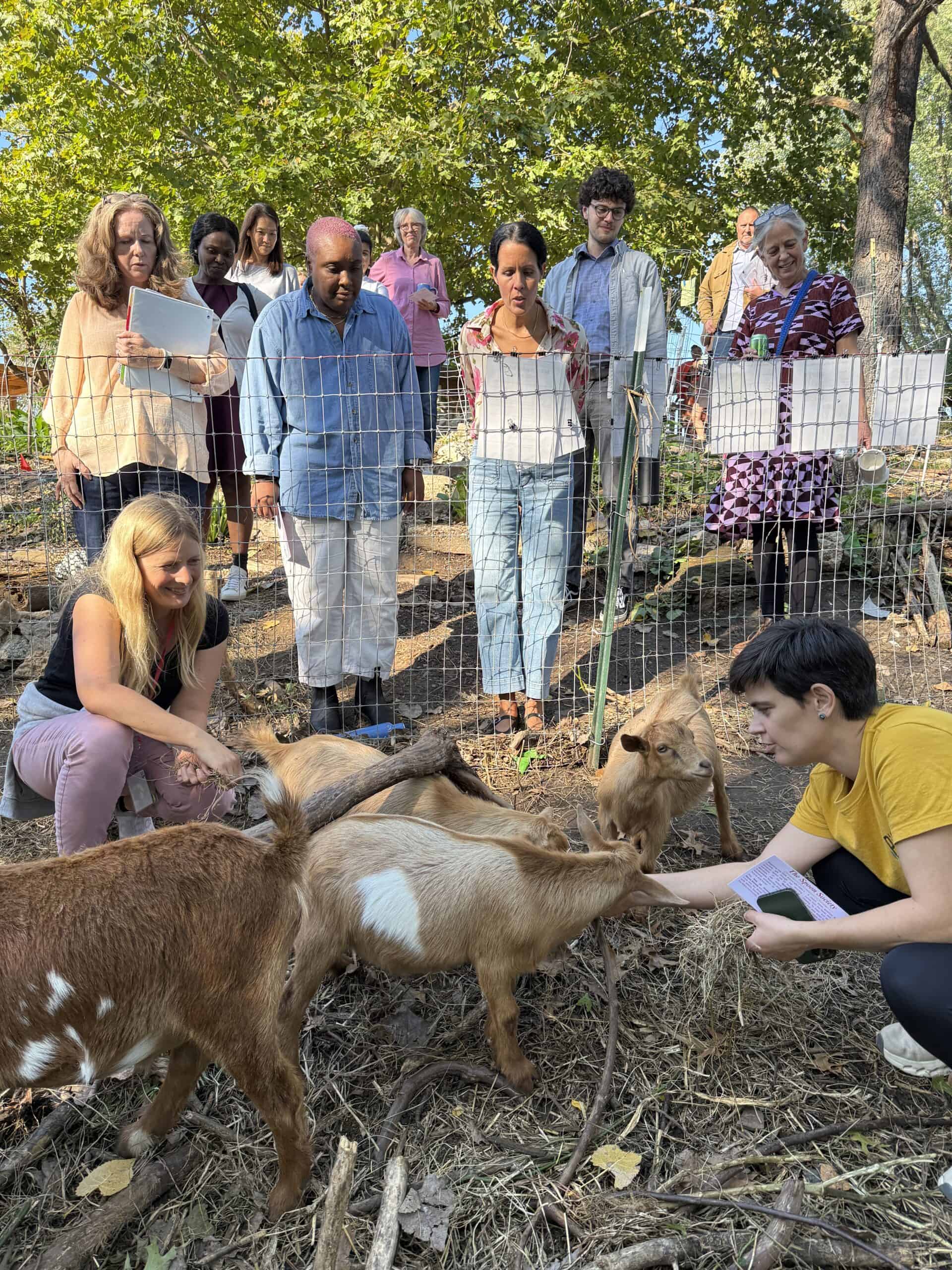 Faculty-Goat-Goodbye-2026-scaled image