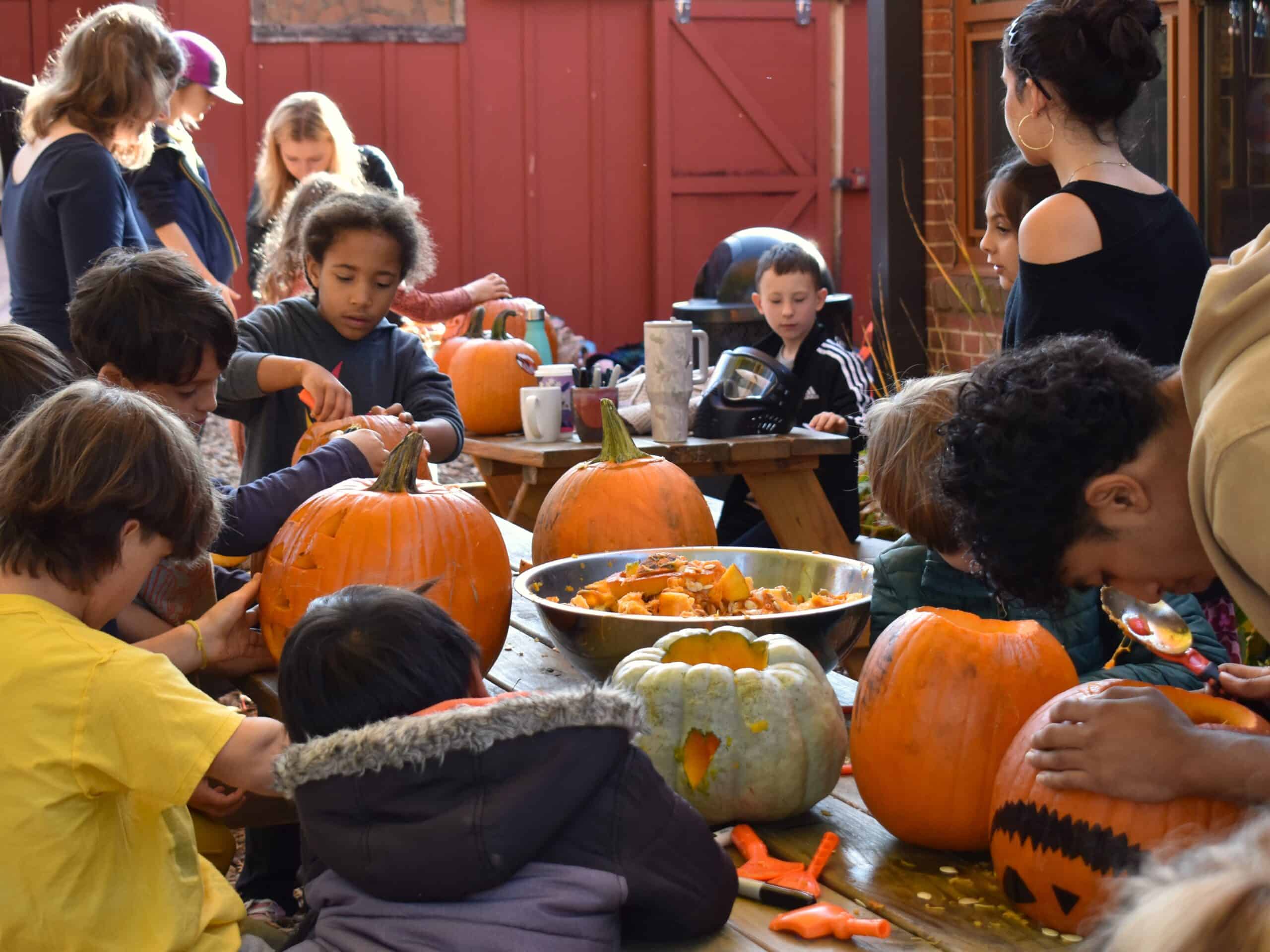 G1-and-G2-Pumpkins-2026-scaled image